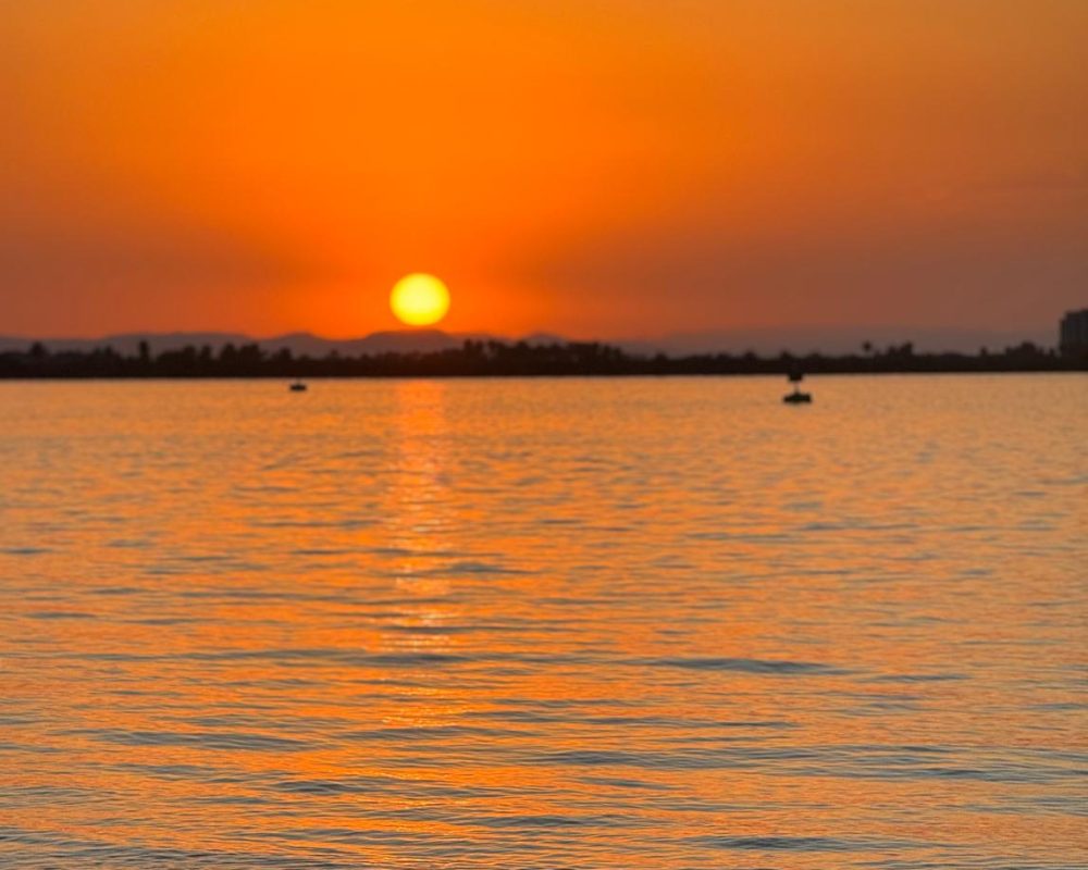 WhatsApp Image 2026-02-02 at 5.10.41 PM (1)